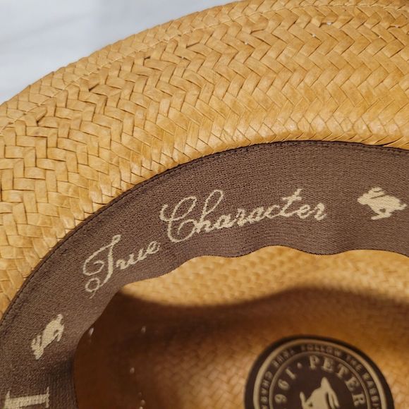 Peter Grimm Depp Natural Straw Fedora - Tan One Size - Picture 8 of 11